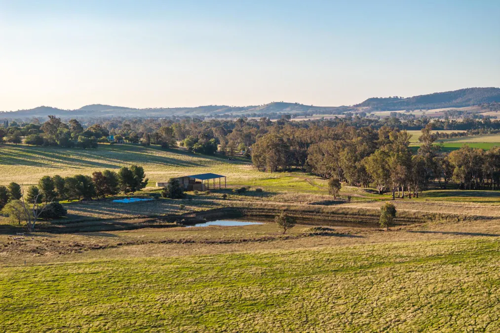 261 Paper Forest Road, Mangoplah, NSW, 2652 - Image 16