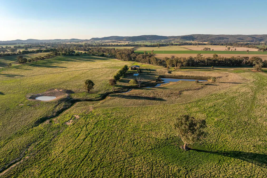 261 Paper Forest Road, Mangoplah, NSW, 2652 - Image 18