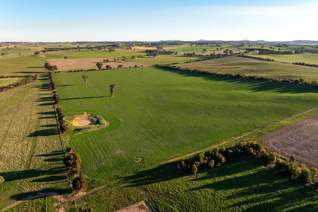 261 Paper Forest Road, Mangoplah, NSW, 2652 - Image 19