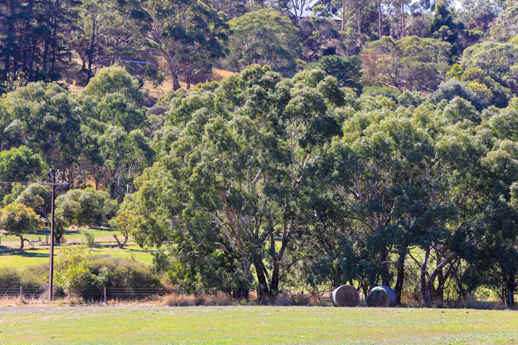 Sec 18 Torrens Vale Road, Torrens Vale, SA, 5203 - Image 17