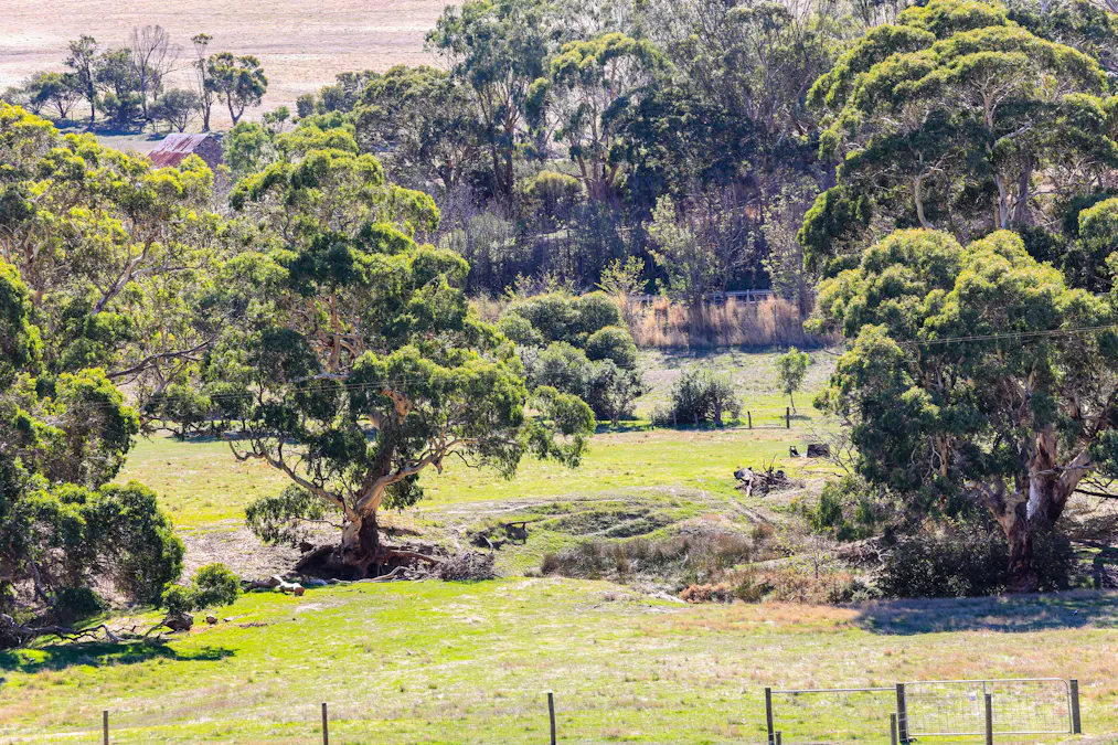Sec 18 Torrens Vale Road, Torrens Vale, SA, 5203 - Image 20