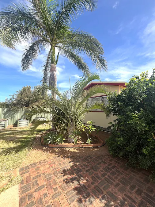 13 Pincombe Street, South Carnarvon, WA, 6701 - Image 32