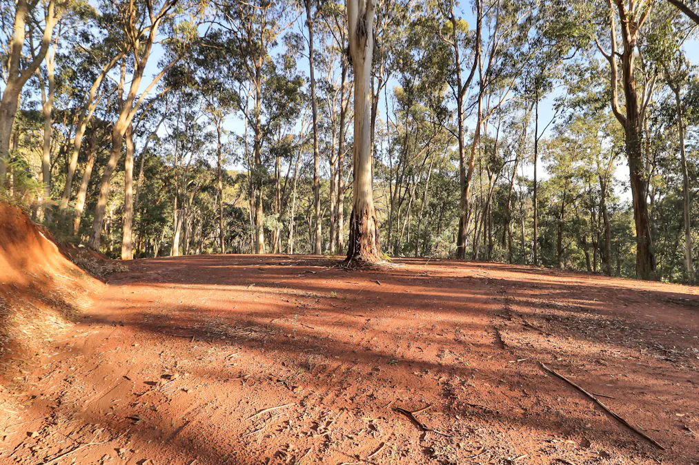 Tolmie, VIC, 3723 - Image 5