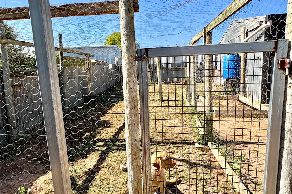 3 Borlase Street, Ceduna, SA, 5690 - Image 27