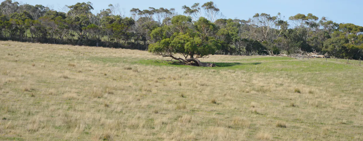 2/Boundary Road, Inverloch, VIC, 3996 - Image 8