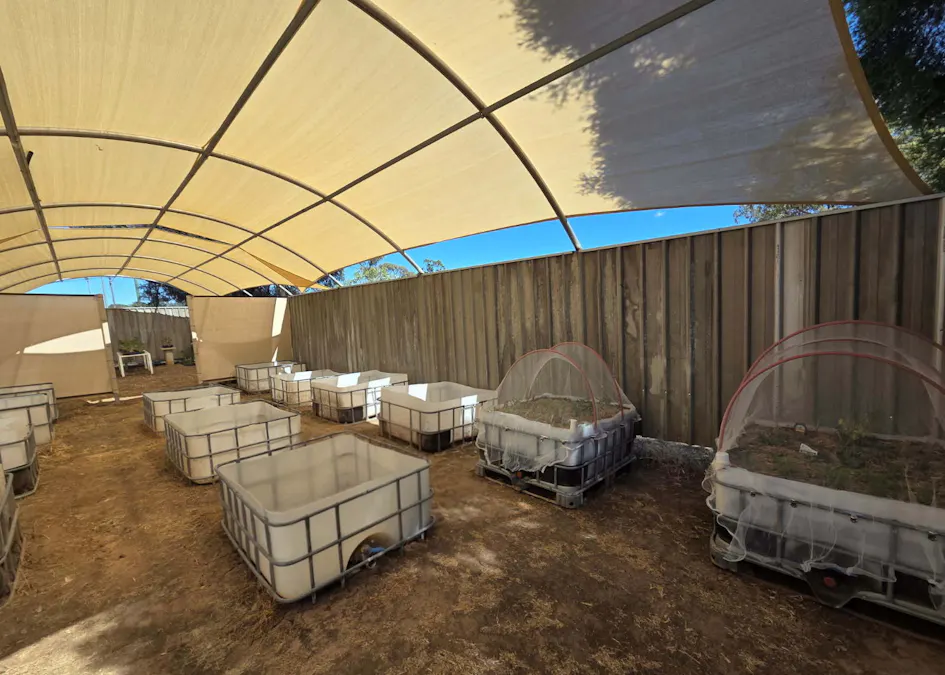 13 Walton Street, Meandarra, QLD, 4422 - Image 14