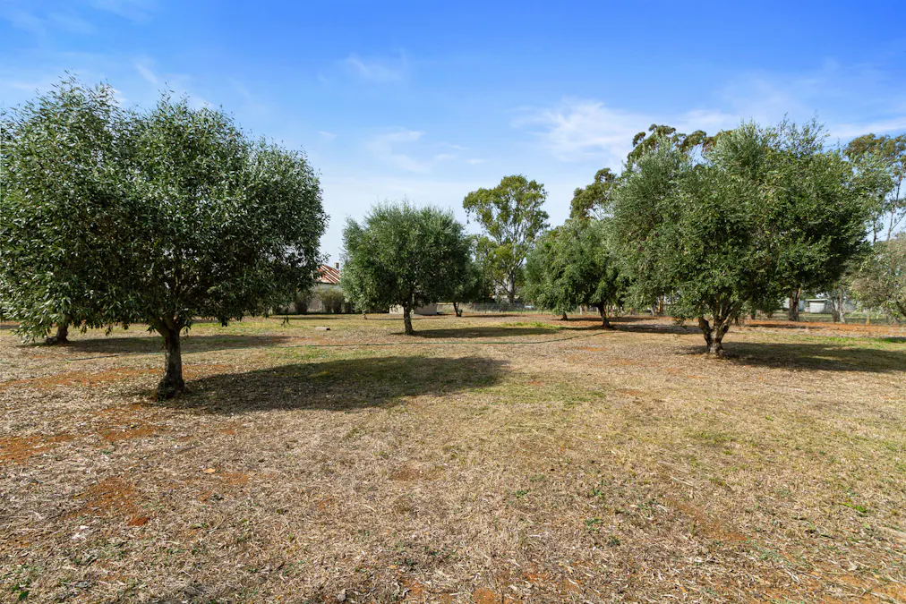 14 Mill Lane, Auburn, SA, 5451 - Image 30