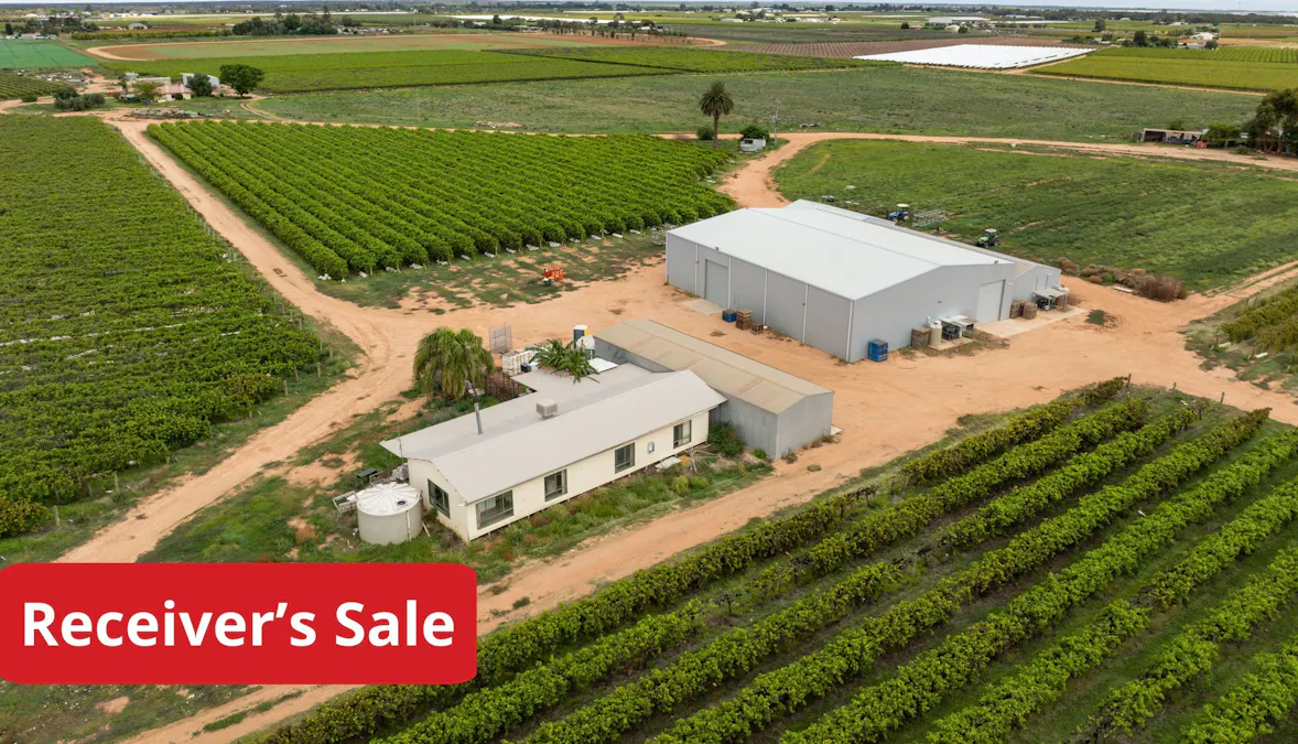 117 Sixth Street, Merbein, VIC, 3505 - Image 1