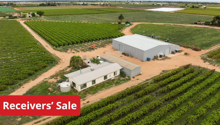 117 Sixth Street, Merbein, VIC, 3505 - Image 1