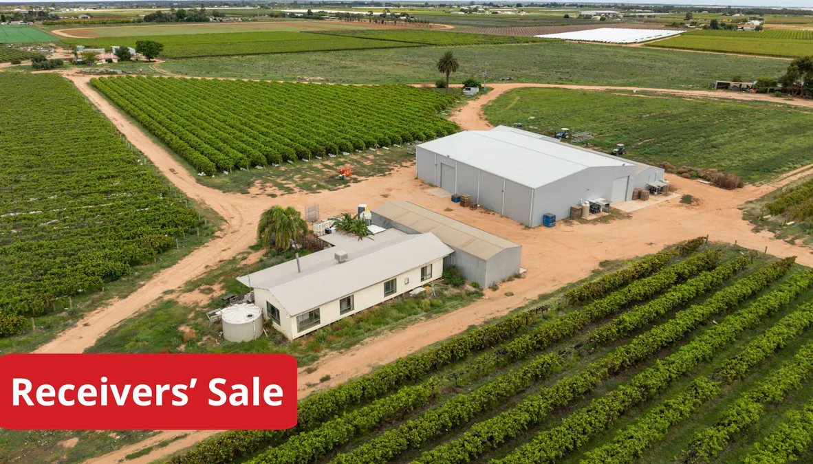 117 Sixth Street, Merbein, VIC, 3505 - Image 1