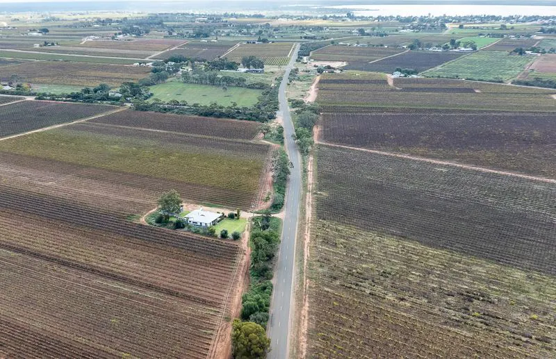 302 Gilmour Road, Barmera, SA, 5345 - Image 12