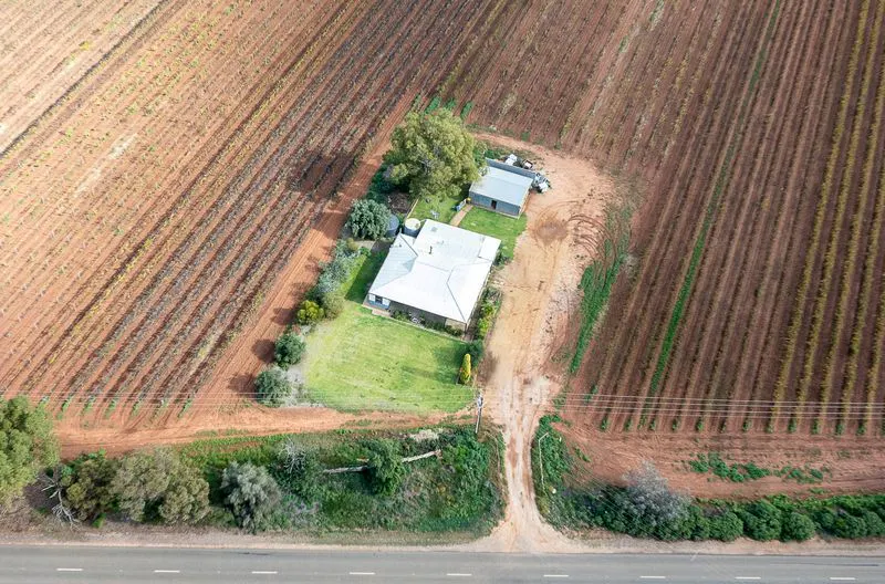 302 Gilmour Road, Barmera, SA, 5345 - Image 14