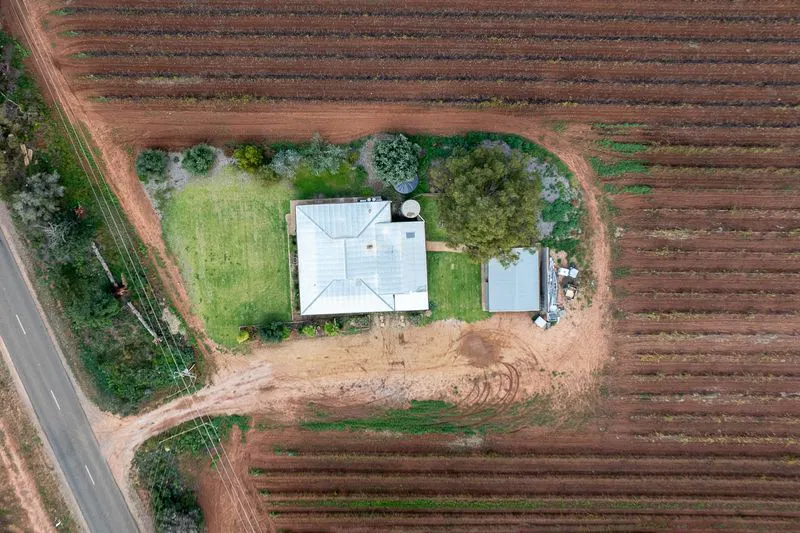 302 Gilmour Road, Barmera, SA, 5345 - Image 15