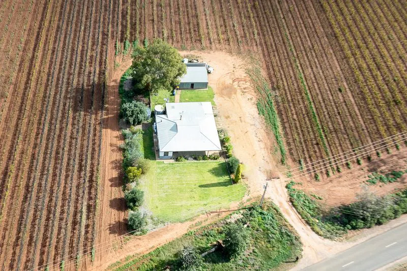 302 Gilmour Road, Barmera, SA, 5345 - Image 13