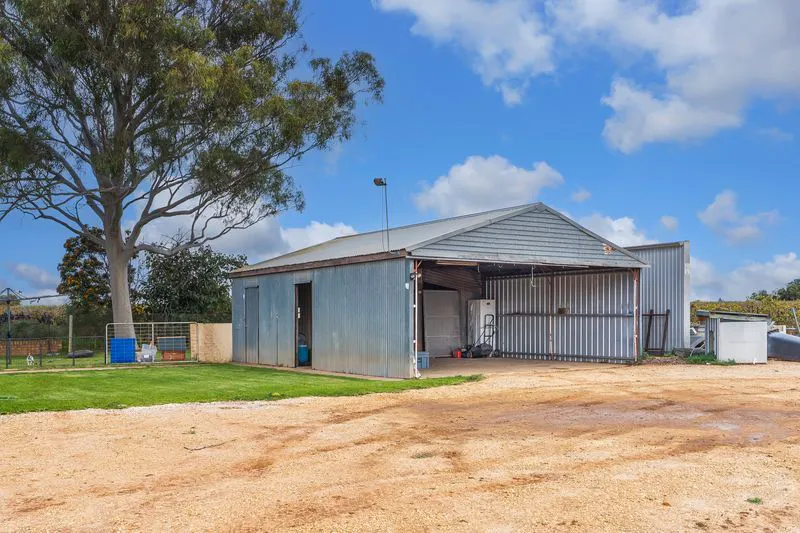 302 Gilmour Road, Barmera, SA, 5345 - Image 16