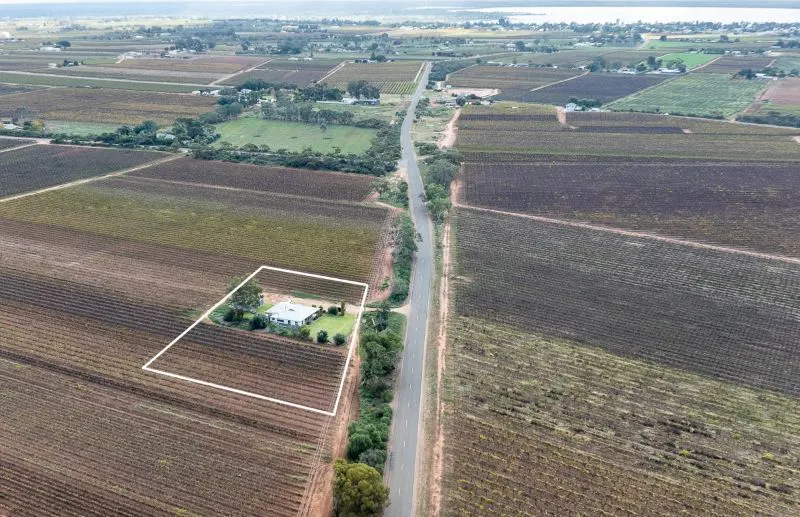 302 Gilmour Road, Barmera, SA, 5345 - Image 12