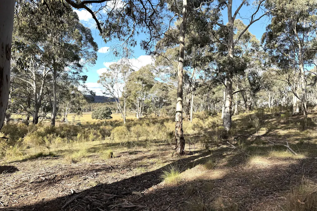 842 Red Springs Road, Ben Bullen, NSW, 2790 - Image 6