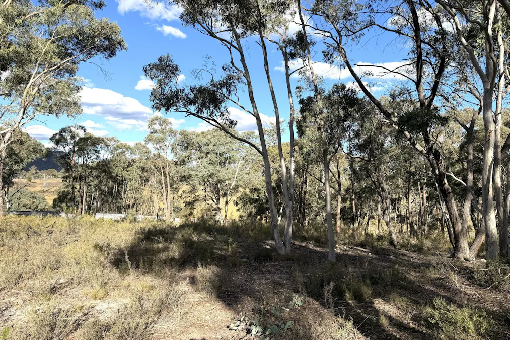 842 Red Springs Road, Ben Bullen, NSW, 2790 - Image 7