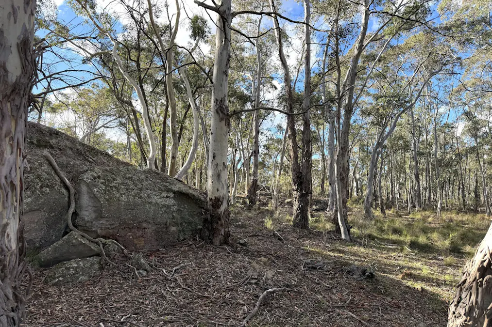842 Red Springs Road, Ben Bullen, NSW, 2790 - Image 8