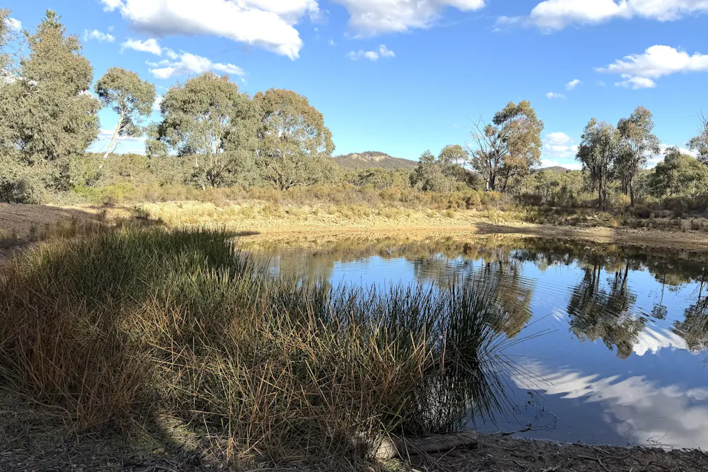 842 Red Springs Road, Ben Bullen, NSW, 2790 - Image 2