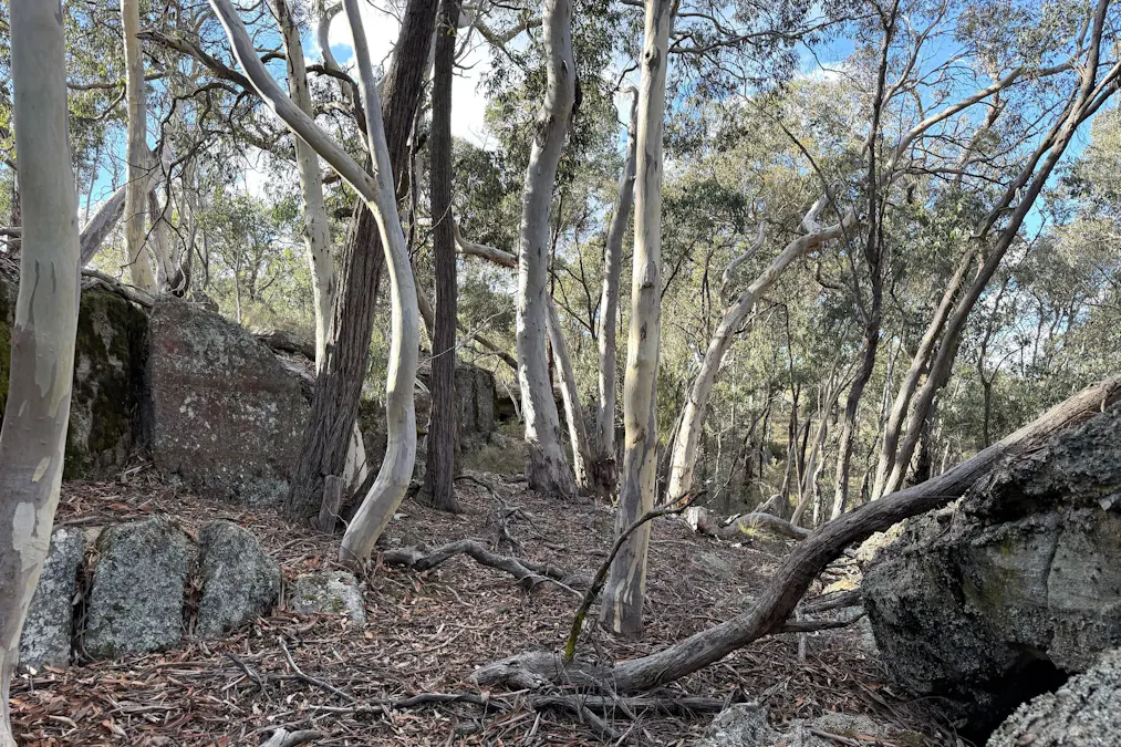 842 Red Springs Road, Ben Bullen, NSW, 2790 - Image 10