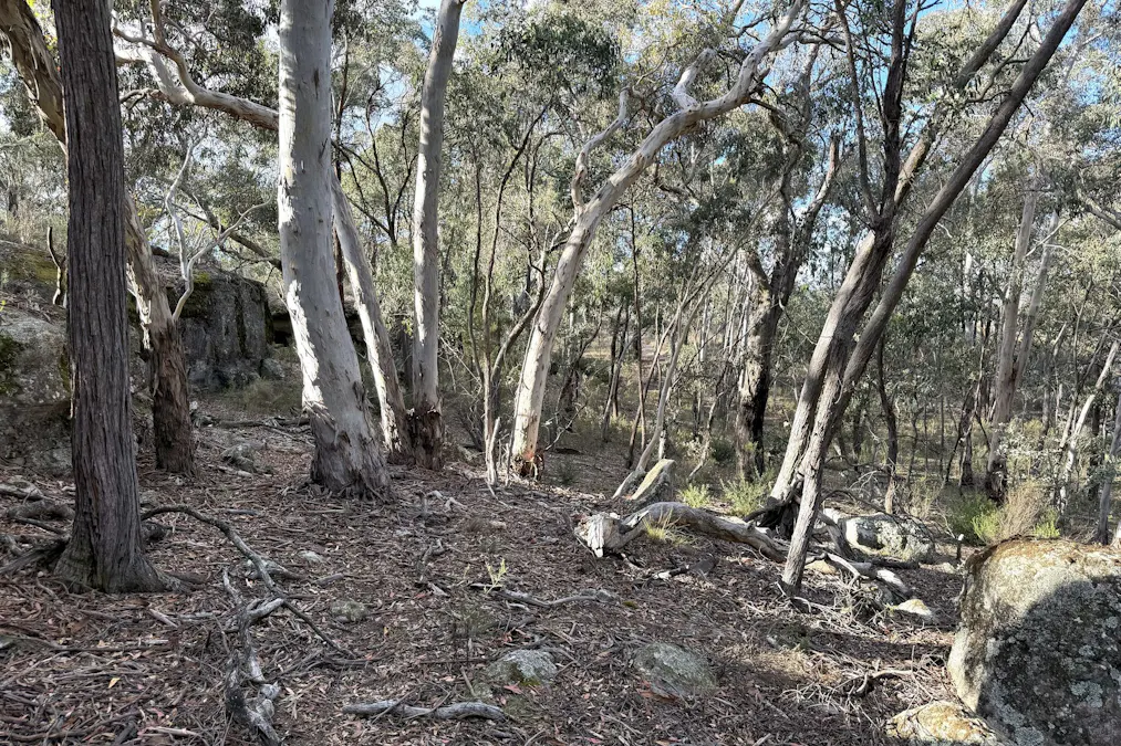 842 Red Springs Road, Ben Bullen, NSW, 2790 - Image 11