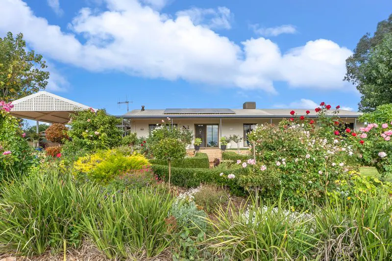 474 Holmes Road, Kingston On Murray, SA, 5331 - Image 20