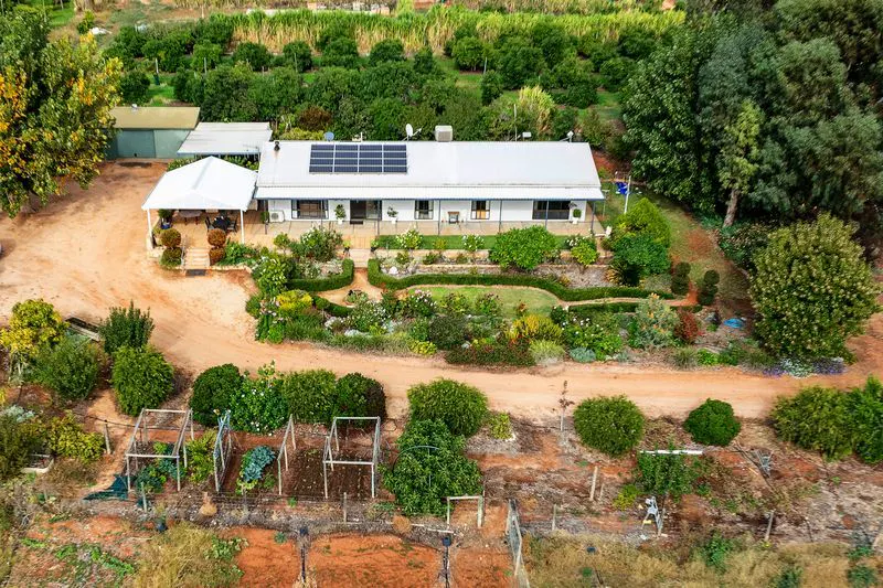 474 Holmes Road, Kingston On Murray, SA, 5331 - Image 3