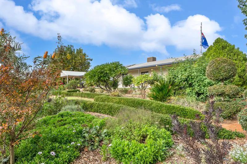 474 Holmes Road, Kingston On Murray, SA, 5331 - Image 4