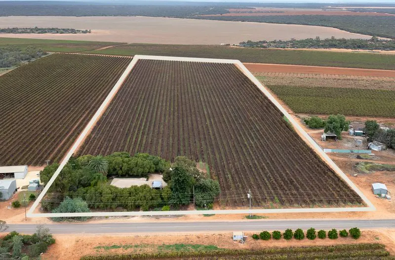 112 Swinstead Road, Barmera, SA, 5345 - Image 2