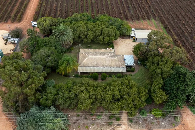 112 Swinstead Road, Barmera, SA, 5345 - Image 15