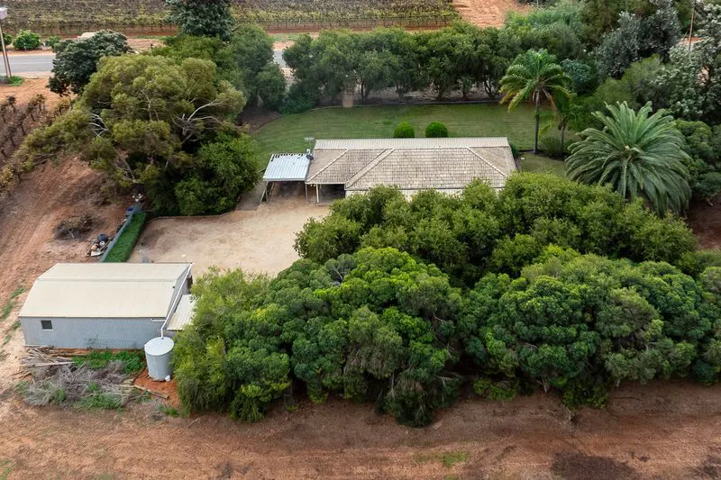 112 Swinstead Road, Barmera, SA, 5345 - Image 19