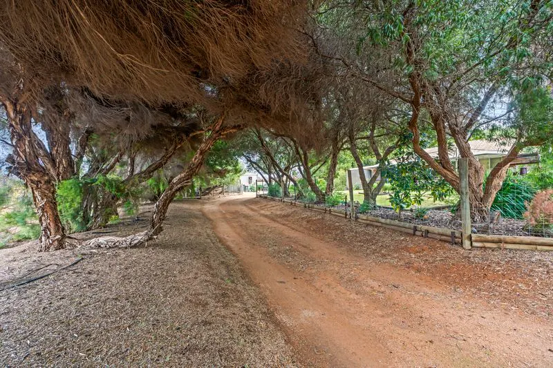 112 Swinstead Road, Barmera, SA, 5345 - Image 12