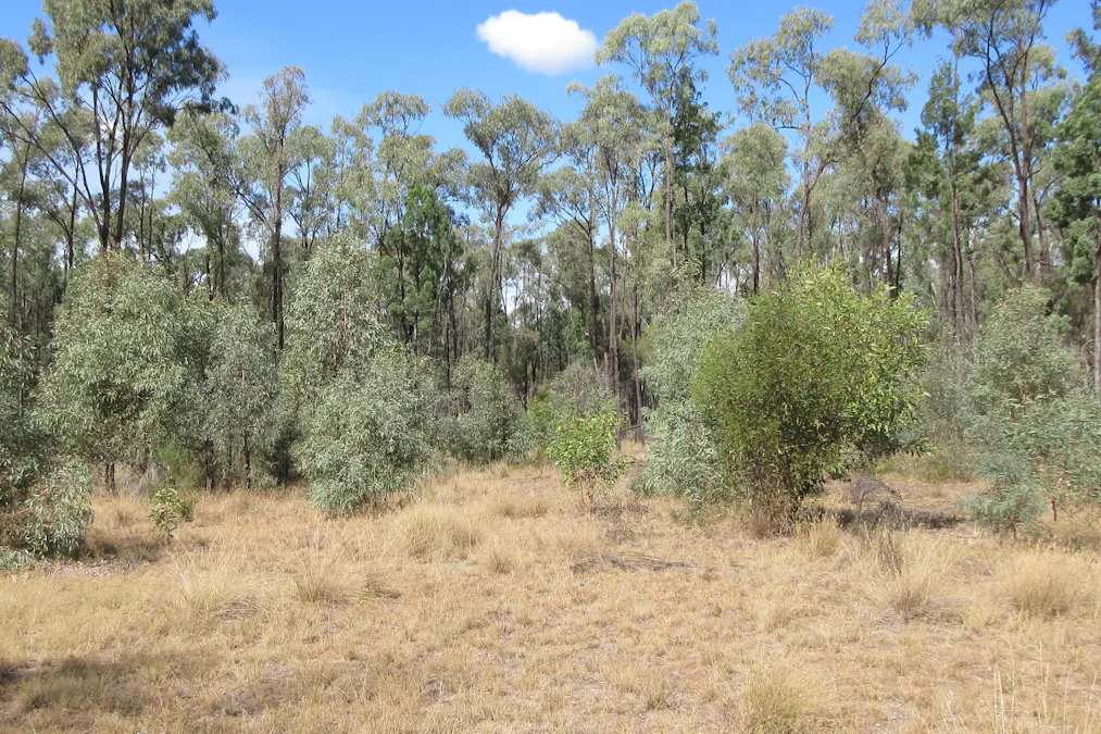 Tara, QLD, 4421 - Image 2