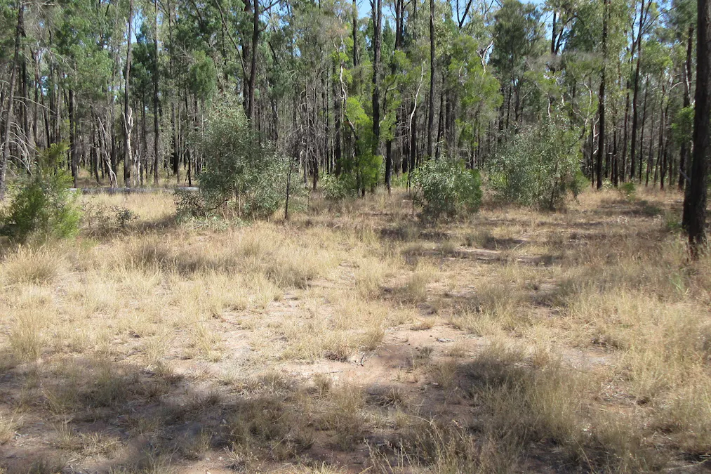 Tara, QLD, 4421 - Image 7