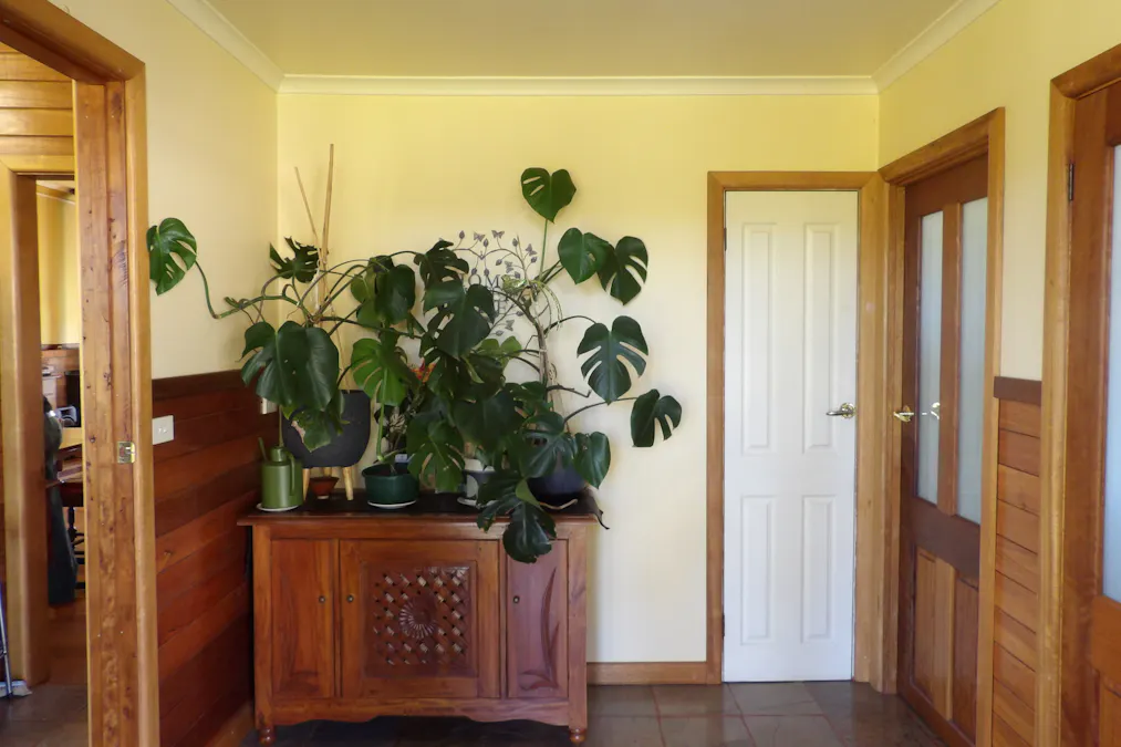 86 TARBUCKS Road, Cabbage Tree Creek, VIC, 3889 - Image 7