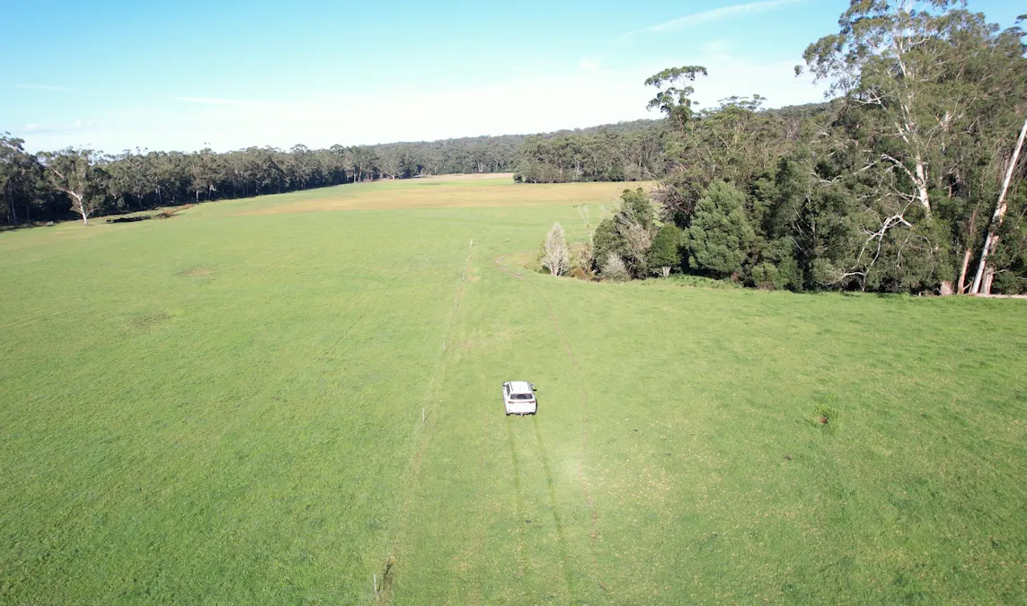 86 TARBUCKS Road, Cabbage Tree Creek, VIC, 3889 - Image 27