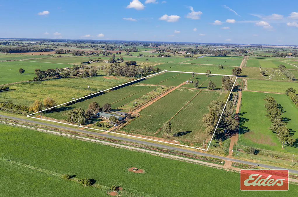 1171  Middleton Road, Echuca, VIC, 3564 - Image 21