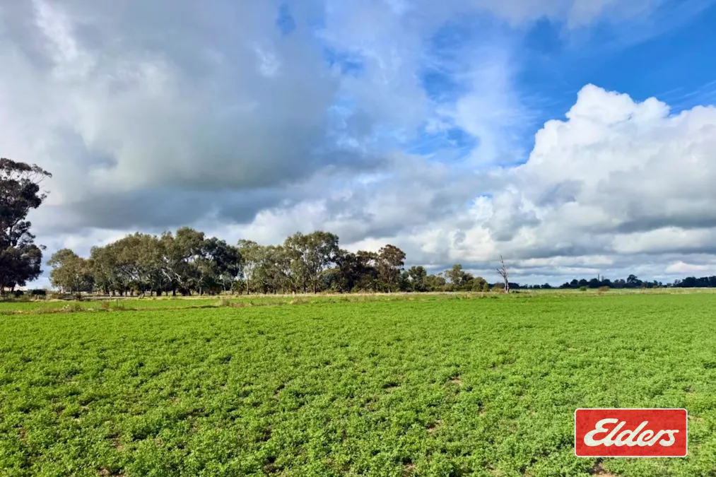 1171  Middleton Road, Echuca, VIC, 3564 - Image 3