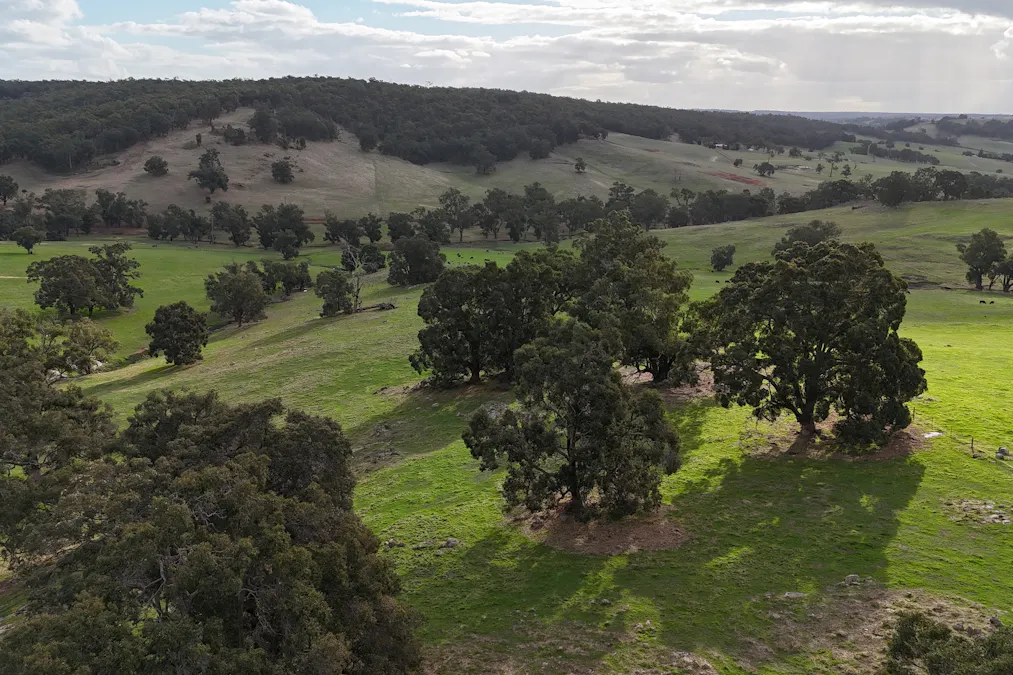 7063 Hamilton Road, Winnejup, WA, 6255 - Image 7