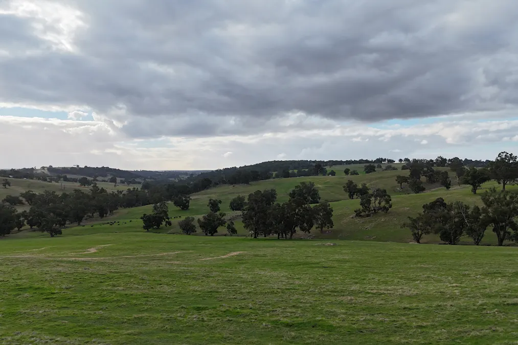 7063 Hamilton Road, Winnejup, WA, 6255 - Image 17