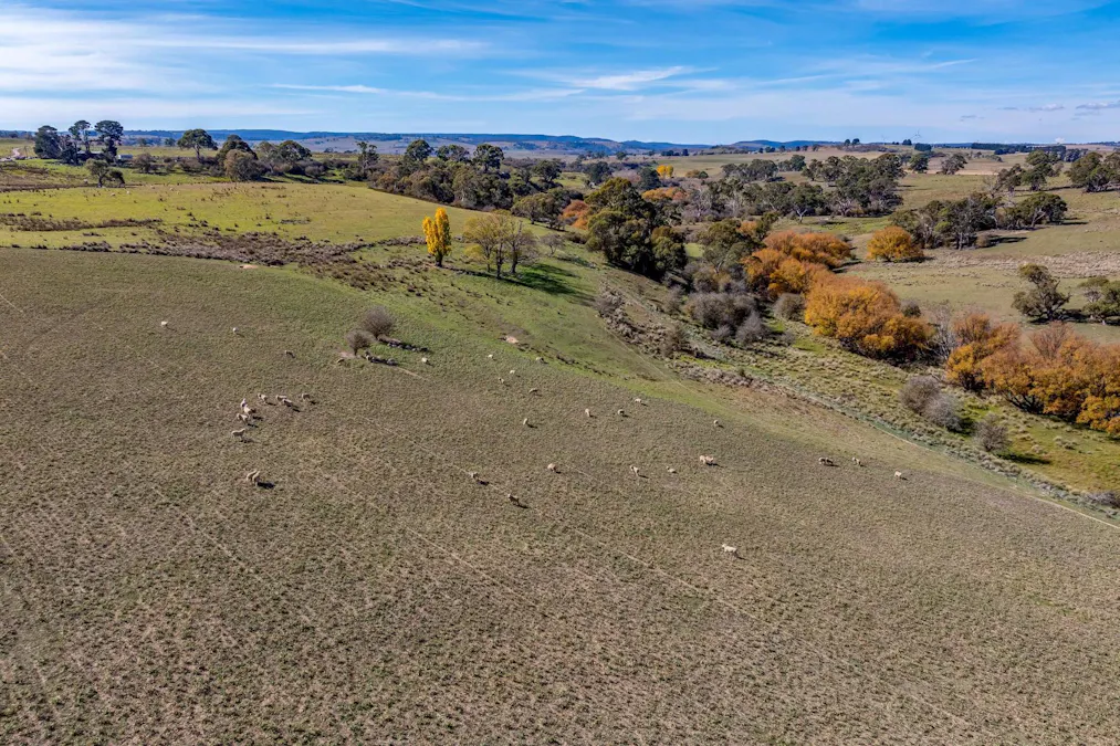 Lot 5 Roseberry Road, Taralga, NSW, 2580 - Image 17