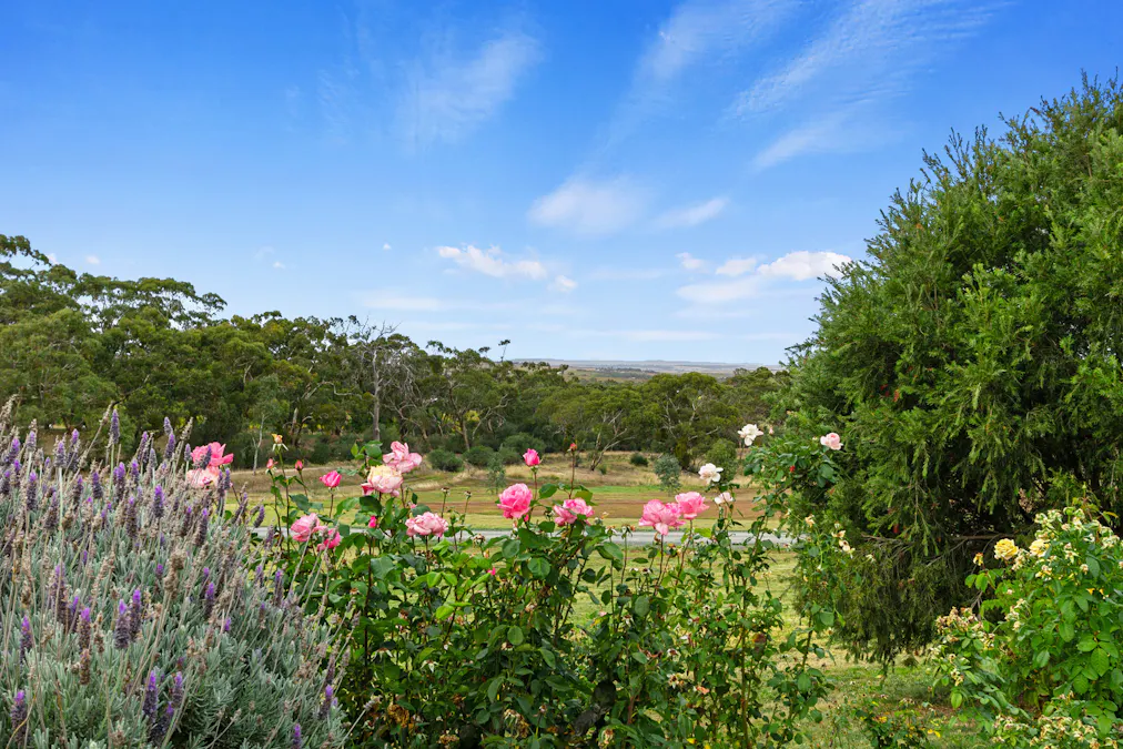 65 Sollys Hill Road, Watervale, SA, 5452 - Image 21