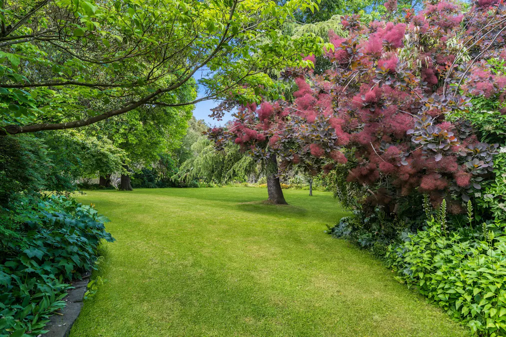 330 Northwood Road, Seymour, VIC, 3660 - Image 16