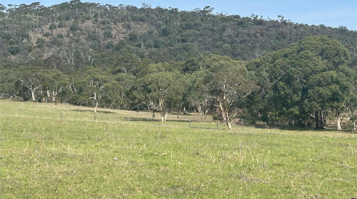 131 Back Valley Road, Back Valley, SA, 5211 - Image 3