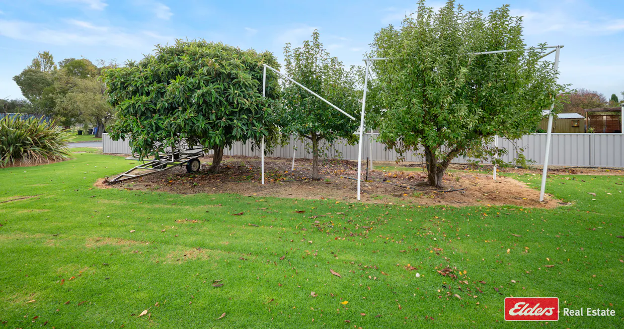12 Watson Avenue, Lucindale, SA, 5272 - Image 5