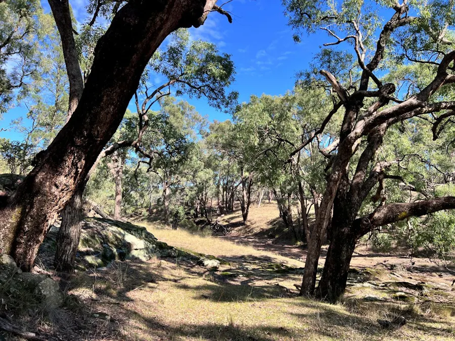 3775 Coonabarabran Road, Coonabarabran, NSW, 2357 - Image 1