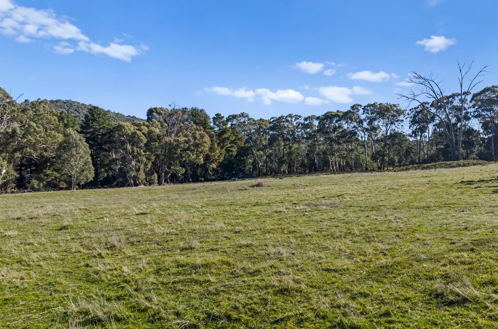 177 Steens Road, Boho South, VIC, 3669 - Image 13