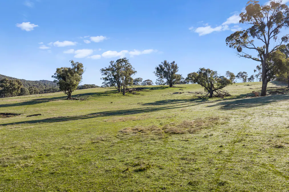 177 Steens Road, Boho South, VIC, 3669 - Image 14