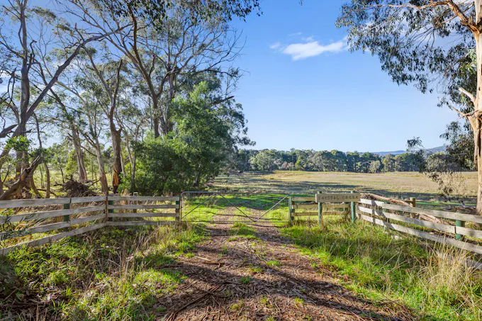 177 Steens Road, Boho South, VIC, 3669 - Image 1